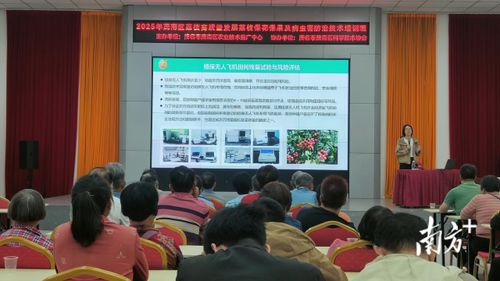 專家支招助力產(chǎn)業(yè)發(fā)展，茂南舉辦荔枝產(chǎn)業(yè)技術培訓班
